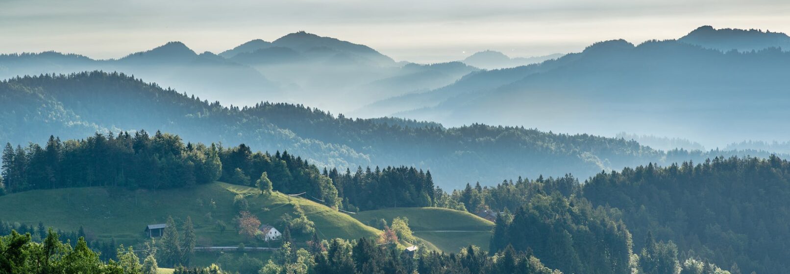 mountainous valley with evergreen forest against misty sky