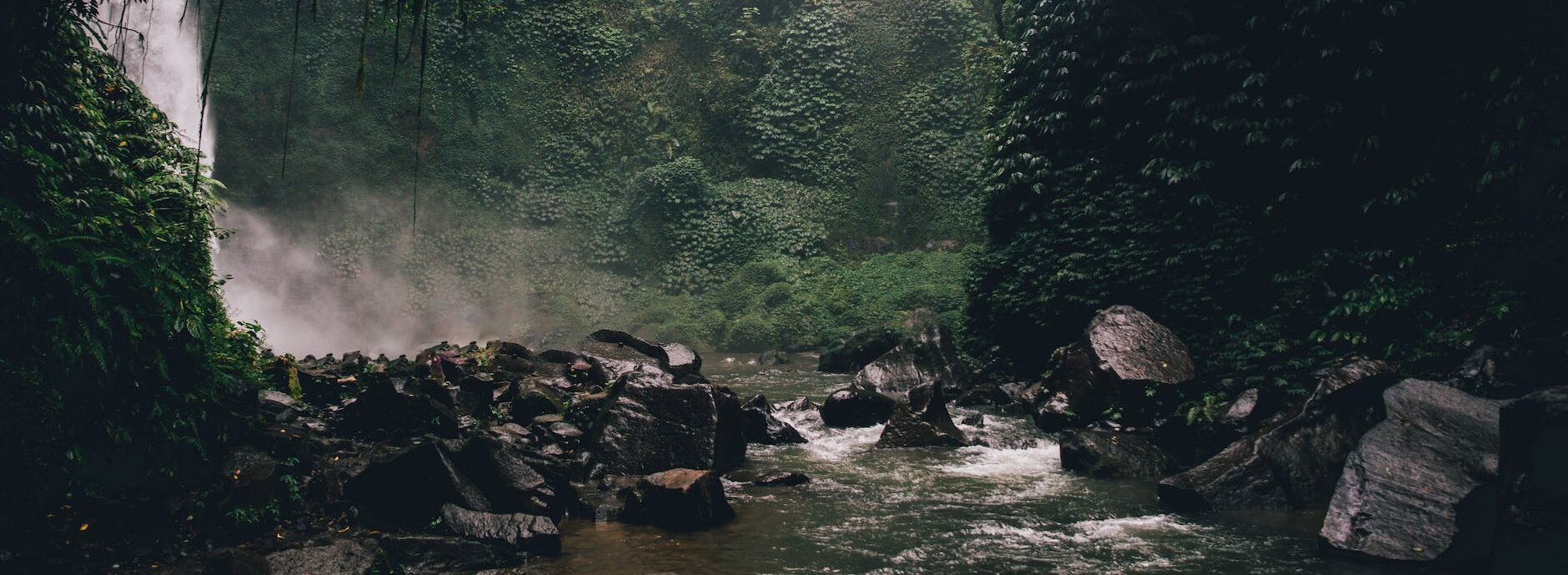 river in the middle of forest